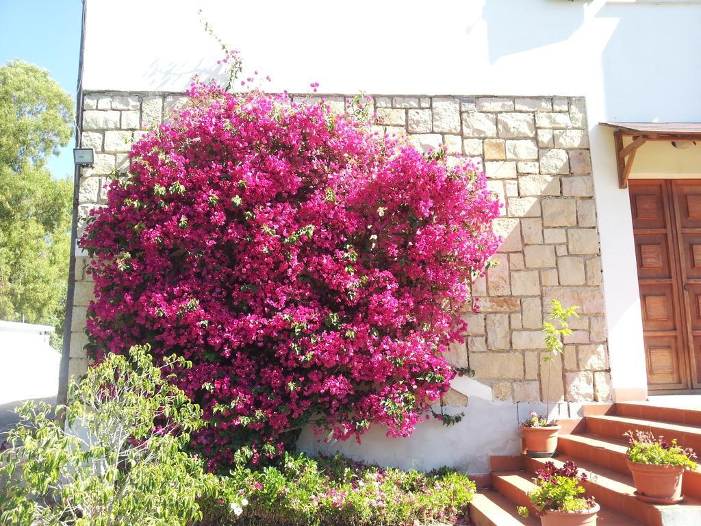 Al Sole Di Pula Bed & Breakfast Екстериор снимка